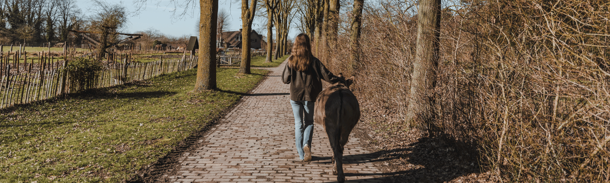 Wandelen met ezels 
