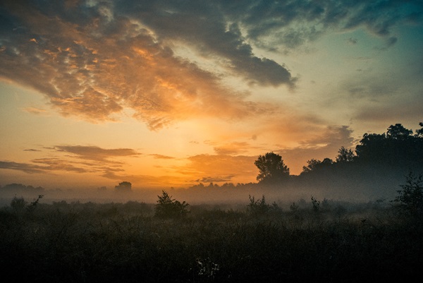 National Park De Meinweg shrouded in a morning mist at sunrise