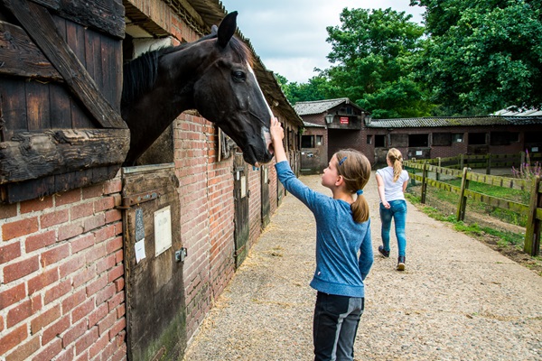 Mädchen streichelt ein Pferd im Stall auf dem Rijstal Venhof, während im Hintergrund ein anderes Mädchen weggeht