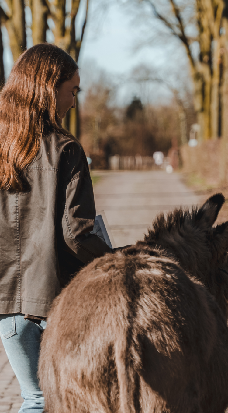 meisje met ezel in een laan