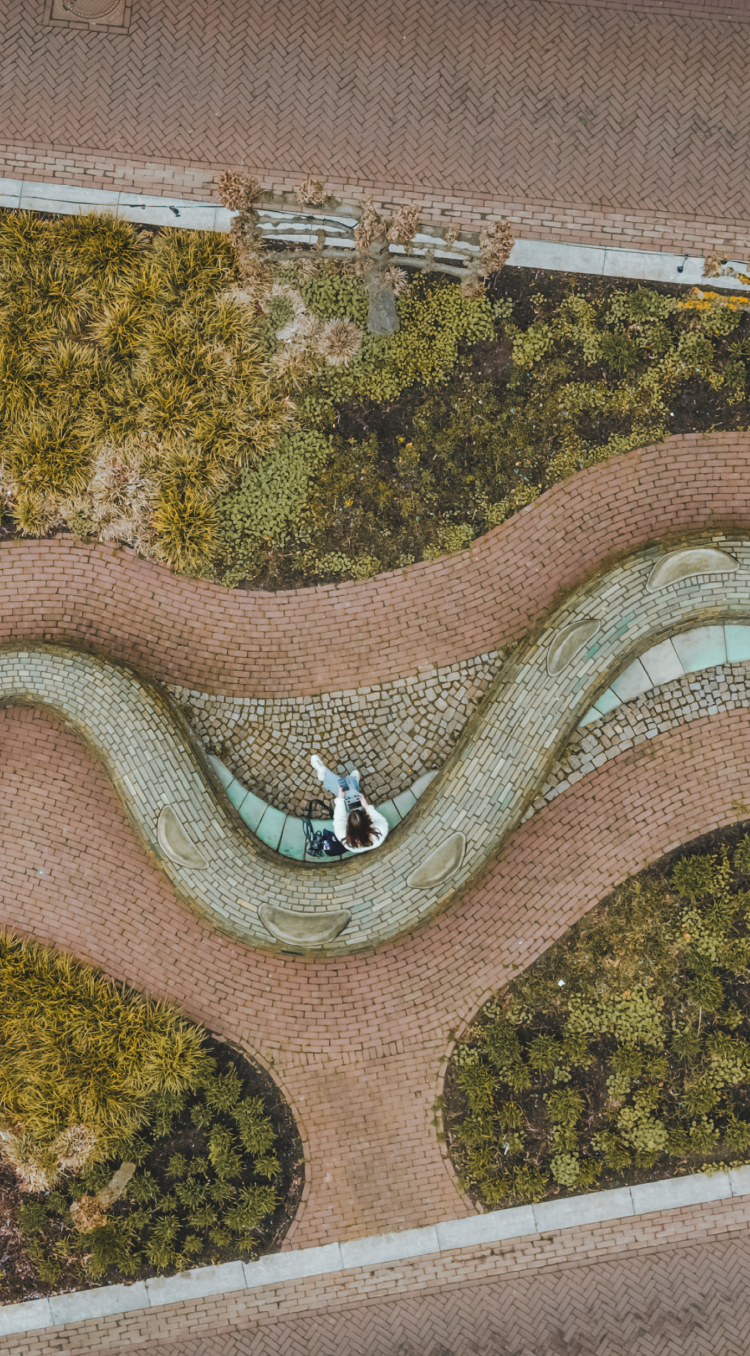 drone foto draak sculptuur in Beesel