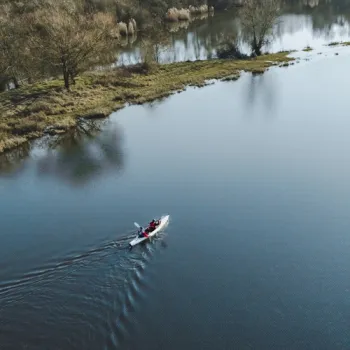 Twee mensen kajakken over het rustige water van de Asseltse Plassen, met rietkragen en bomen langs de oever.